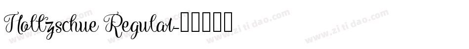 Holtzschue Regular字体转换
